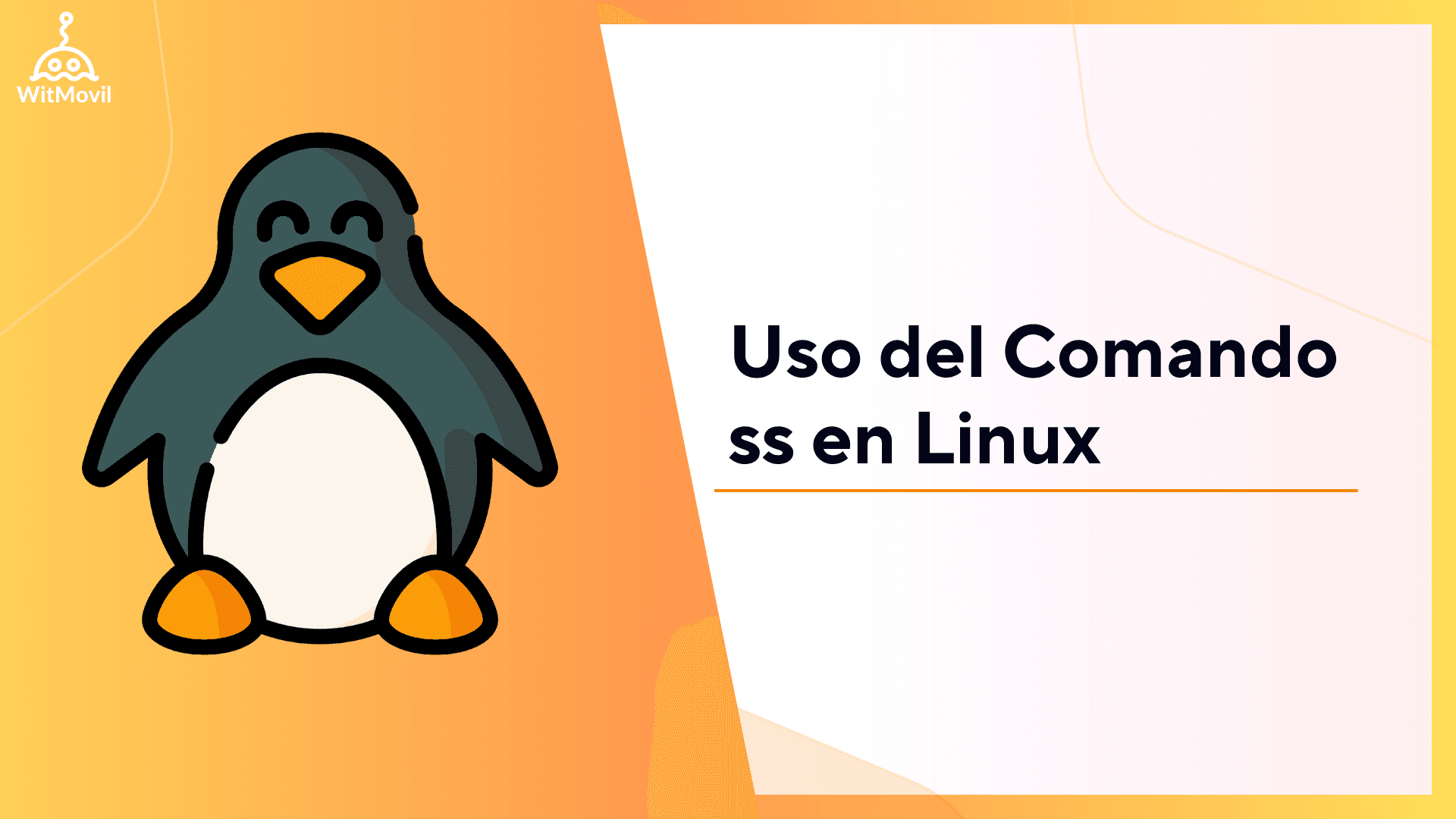 Descubre ss: La Alternativa Rápida y Poderosa a netstat en Linux